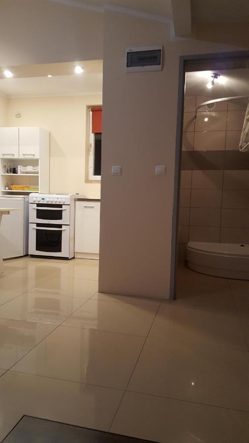 Wiola Apartamento Zelistrzewo Exterior foto
